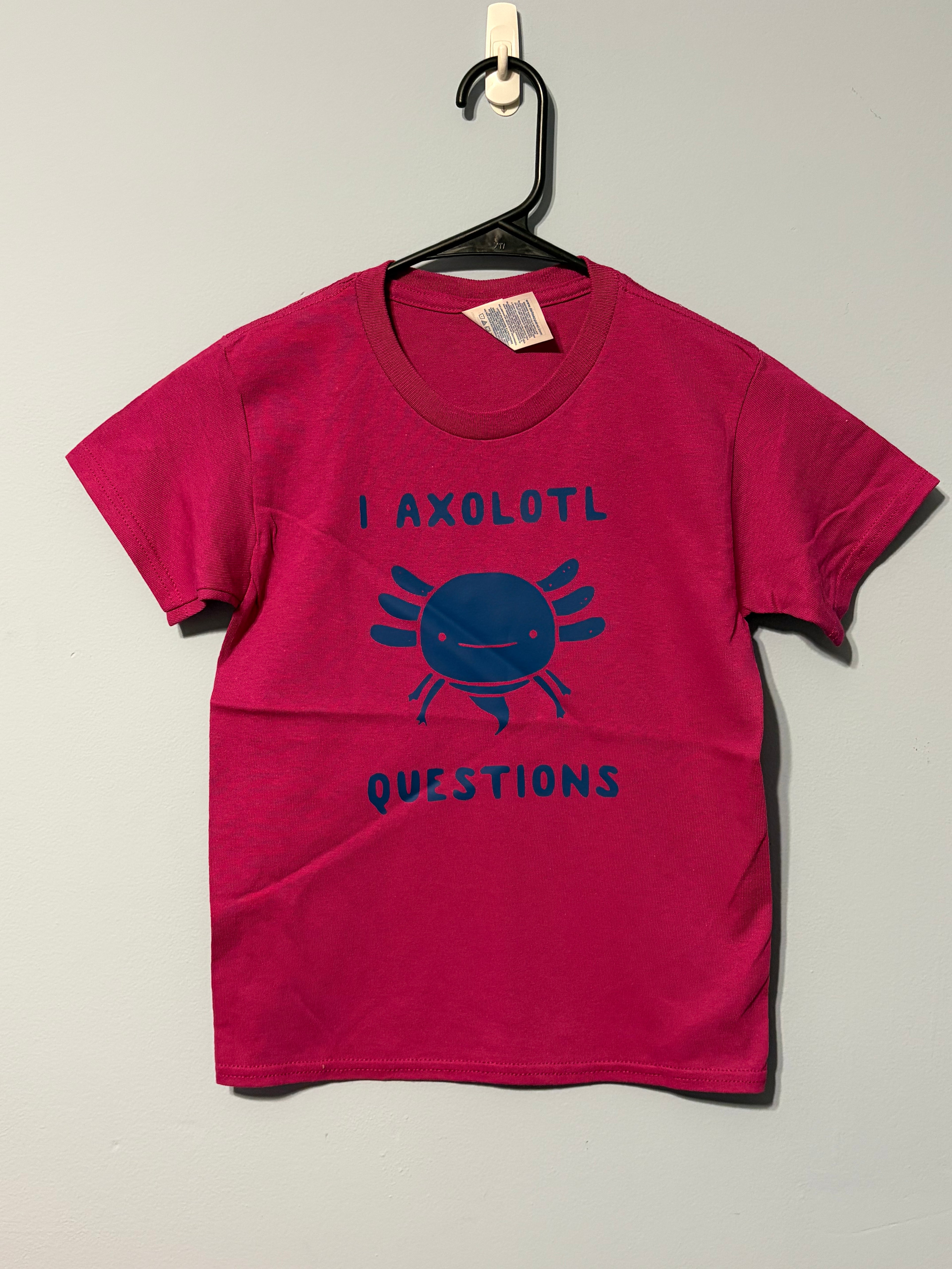Axolotl Questions Youth